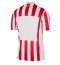 Atletico Madrid Thuis tenue 2025-26 Korte Mouwen