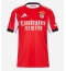 Benfica Dodi Lukebakio #11 Thuis tenue 2025-26 Korte Mouwen
