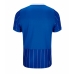 Brighton Thuis tenue 2026-27 Korte Mouwen
