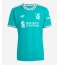Liverpool Cody Gakpo #18 Derde tenue 2025-26 Korte Mouwen