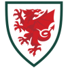 Wales WK 2022 Mannen
