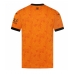 Wolves Jorgen Strand Larsen #9 Thuis tenue 2026-27 Korte Mouwen